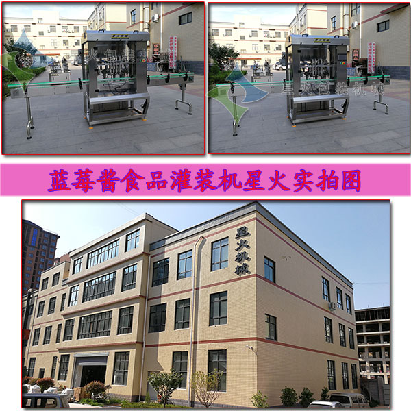 藍(lán)莓醬食品灌裝機(jī)