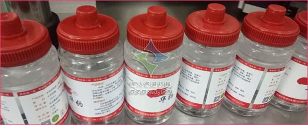 全自動(dòng)涂料灌裝生產(chǎn)線(xiàn)